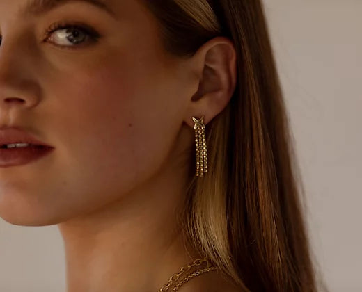 Whitney 14k Gold Earrings